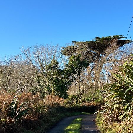 Ancaire Cottage Kilbronogue. Schull Buitenkant foto