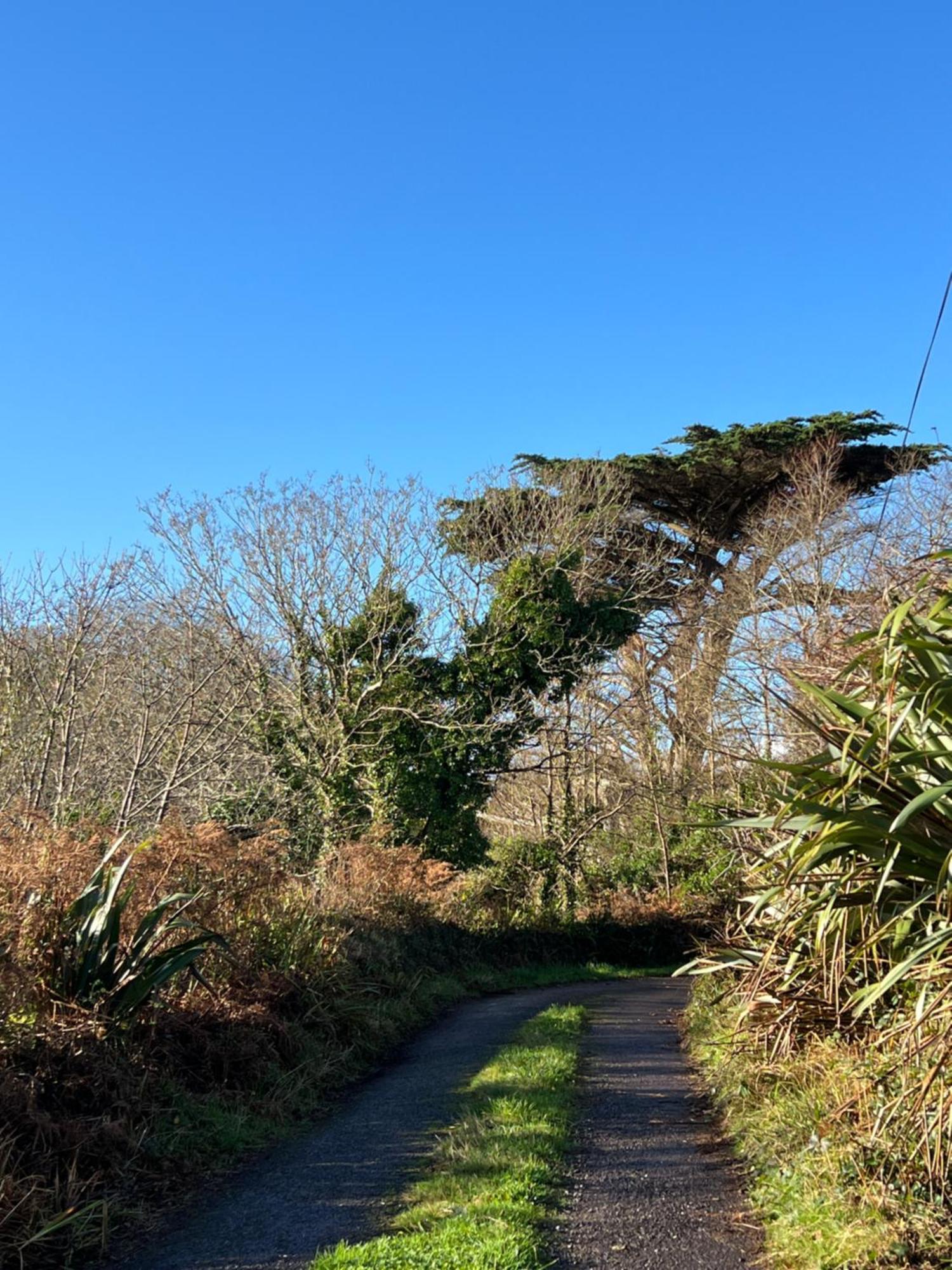 Ancaire Cottage Kilbronogue. Schull Buitenkant foto